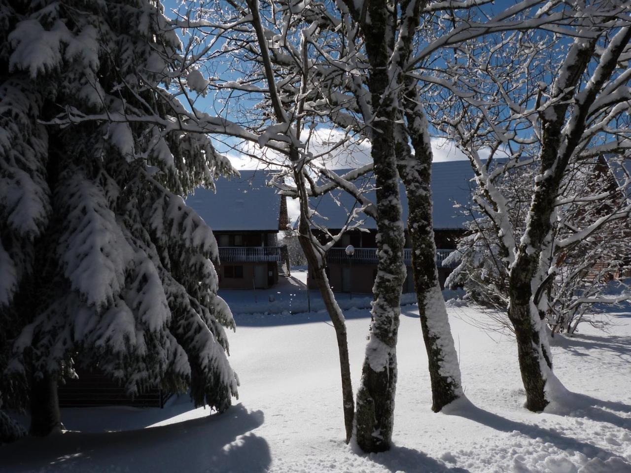 Residence Le Bois De La Reine ซูแปร์แบส ภายนอก รูปภาพ