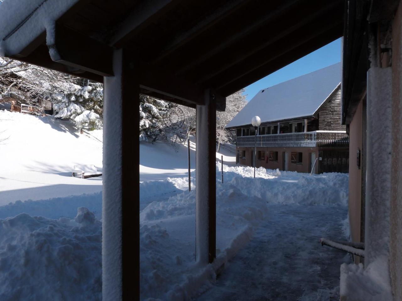 Residence Le Bois De La Reine ซูแปร์แบส ภายนอก รูปภาพ